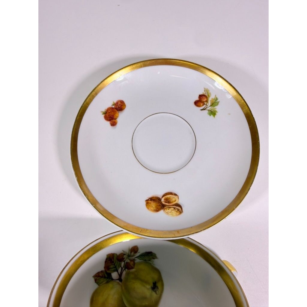 Footed Cup & Saucer Set Golden Crown Harvest E & R Bravaria Fine Bone Replacement China Vintage Floral Hand Painted Bravarian Fruit