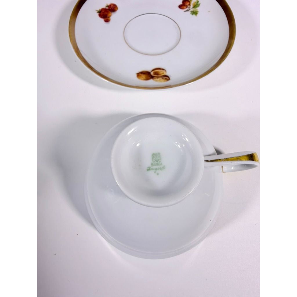Footed Cup & Saucer Set Golden Crown Harvest E & R Bravaria Fine Bone Replacement China Vintage Floral Hand Painted Bravarian Fruit