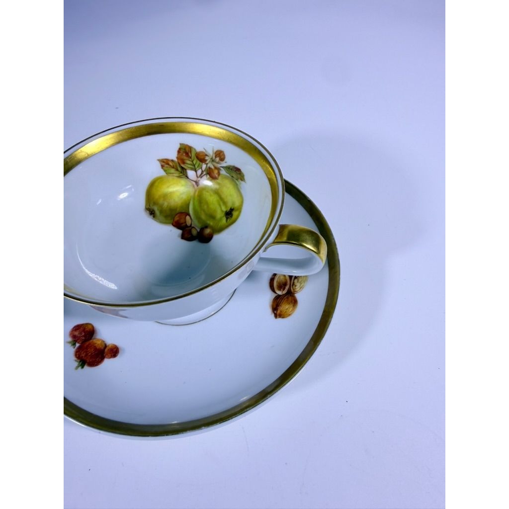 Footed Cup & Saucer Set Golden Crown Harvest E & R Bravaria Fine Bone Replacement China Vintage Floral Hand Painted Bravarian Fruit