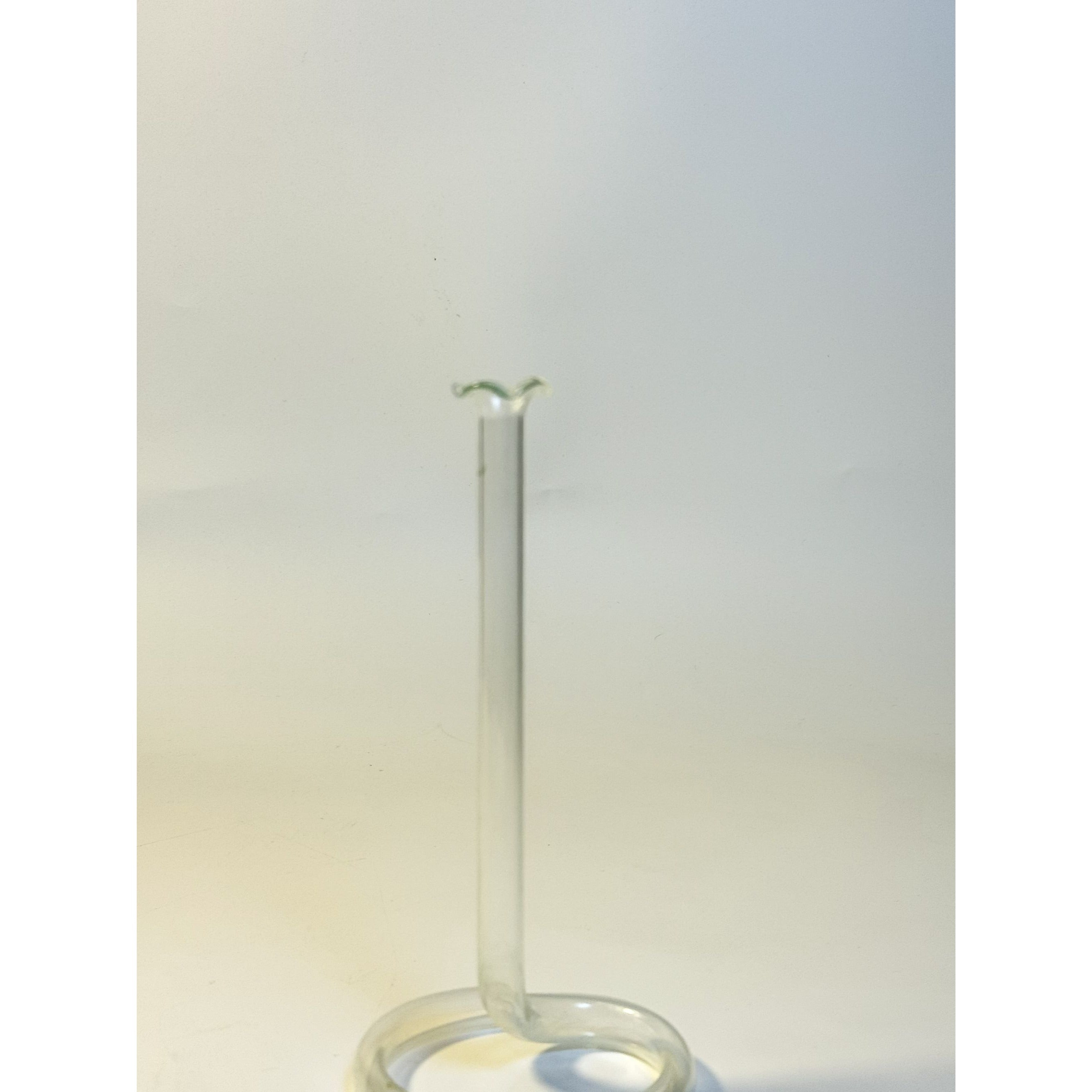 Bud Propagation Vase Vintage Hand Blown Delicate Infinity Scalloped Edges Propagation Vase Home Decor Plant Gifts for Her Mothers Day gift