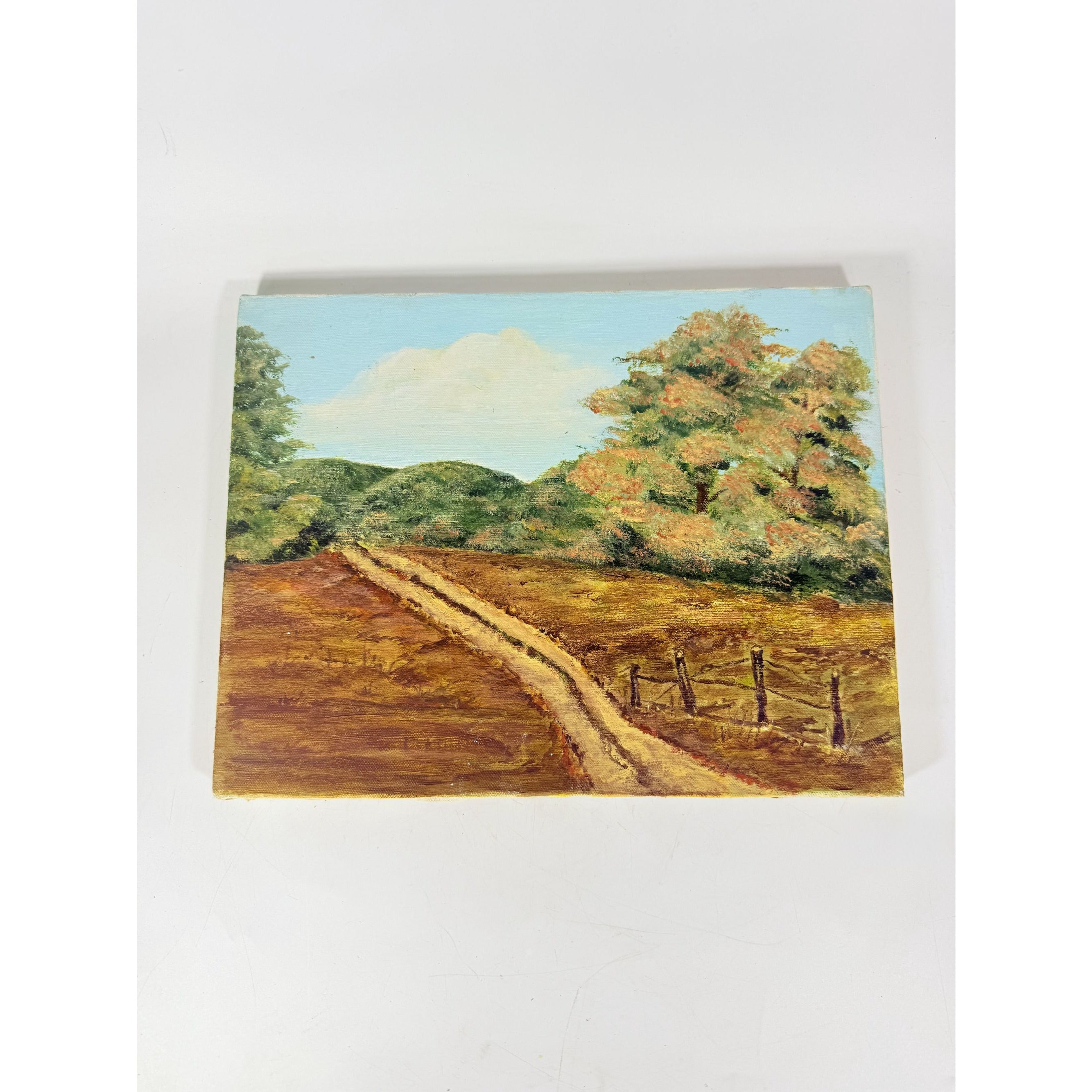 OIl on Canvas Unsigned Pastoral Rustic Hand Painted Unique Home Decor Art