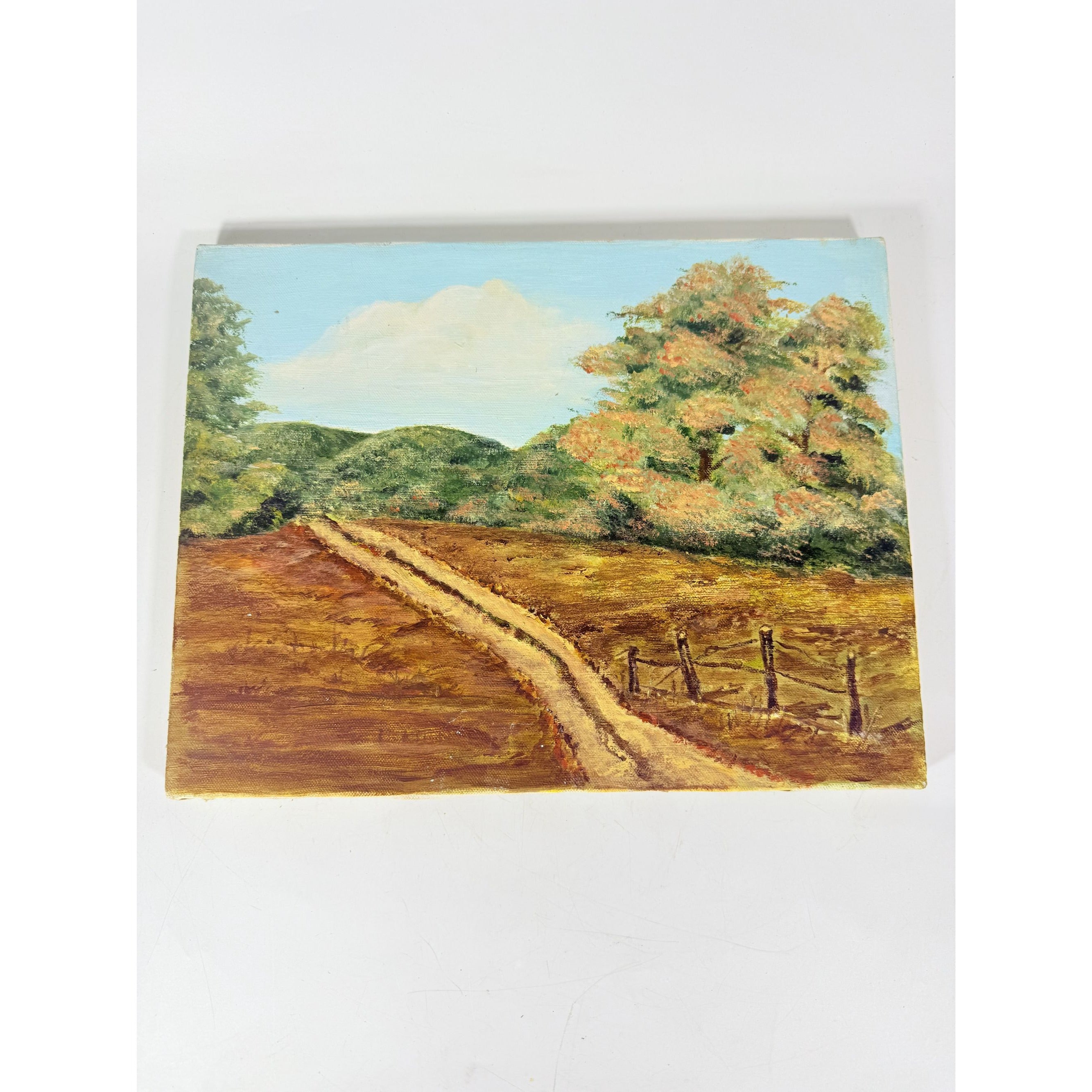 OIl on Canvas Unsigned Pastoral Rustic Hand Painted Unique Home Decor Art