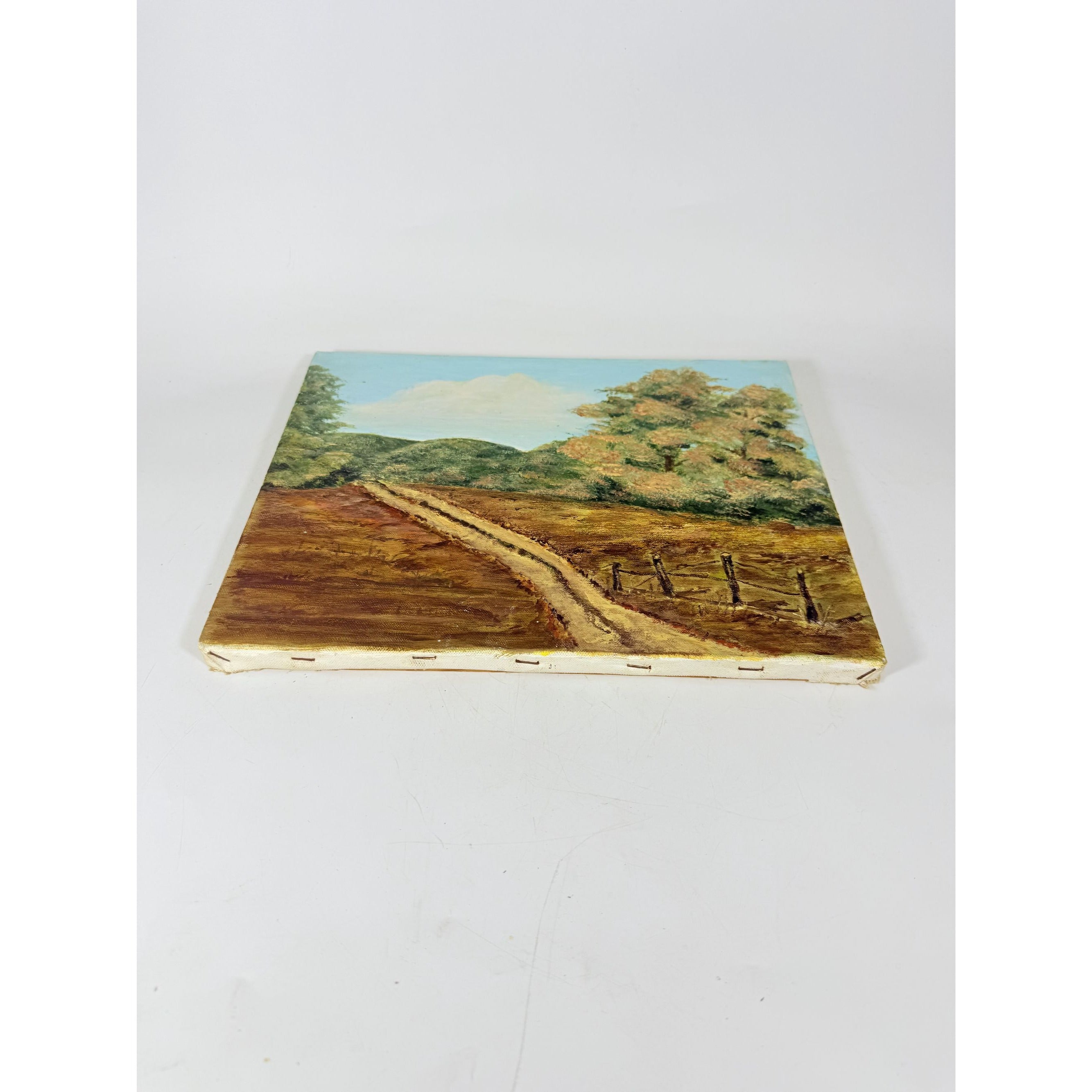OIl on Canvas Unsigned Pastoral Rustic Hand Painted Unique Home Decor Art
