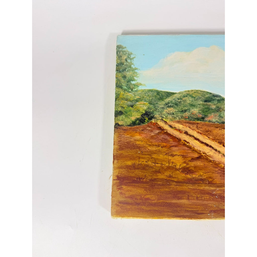 OIl on Canvas Unsigned Pastoral Rustic Hand Painted Unique Home Decor Art
