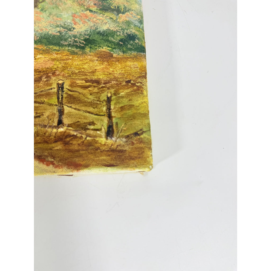 OIl on Canvas Unsigned Pastoral Rustic Hand Painted Unique Home Decor Art