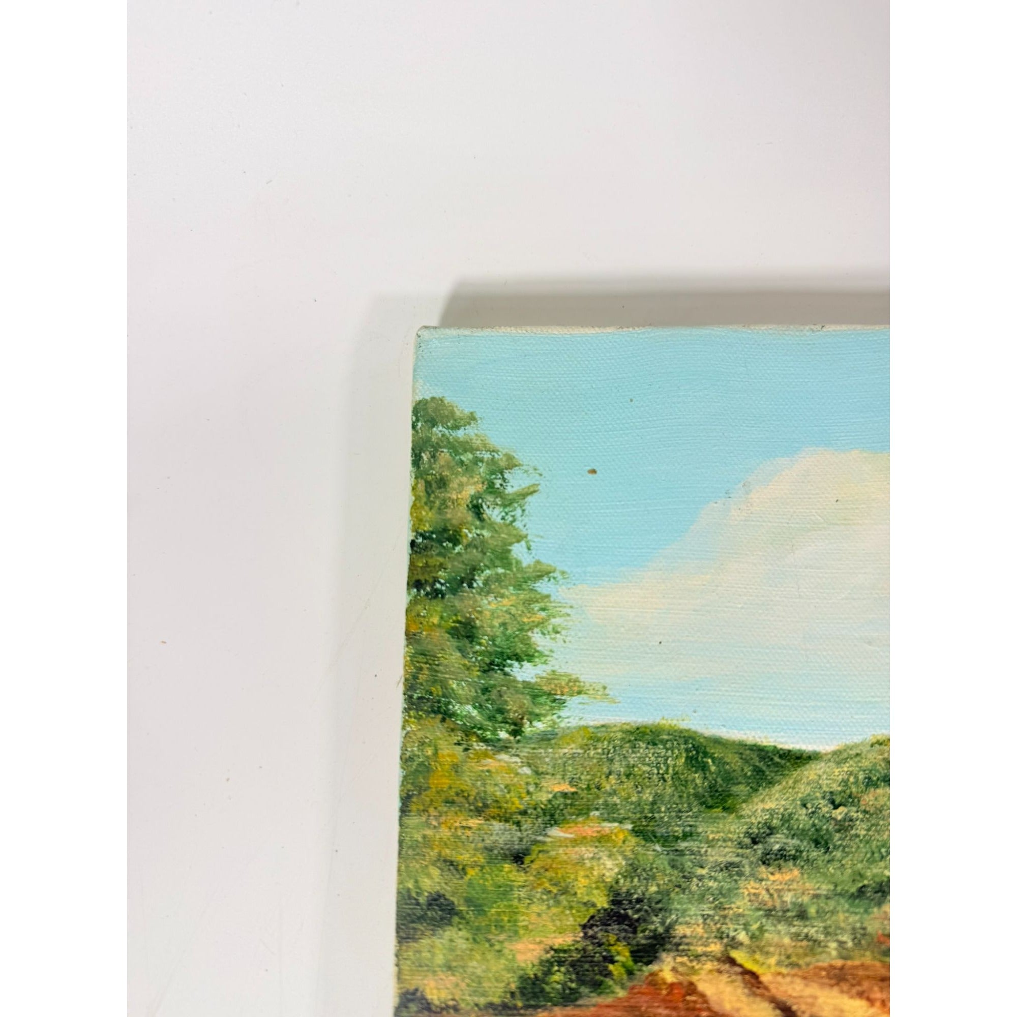 OIl on Canvas Unsigned Pastoral Rustic Hand Painted Unique Home Decor Art