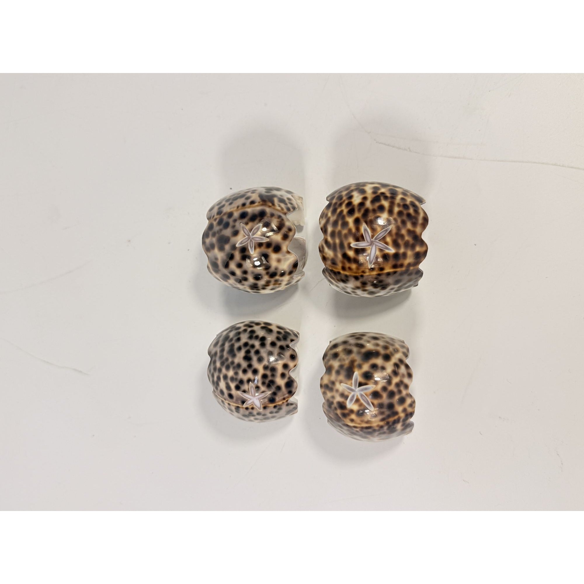 Napkin Rings Tiger Cowrie Shell Leopard Spots Set 4 Natural Seashell Decor Tablesetting Vintage Tableware Place Setting Coastal Grandma