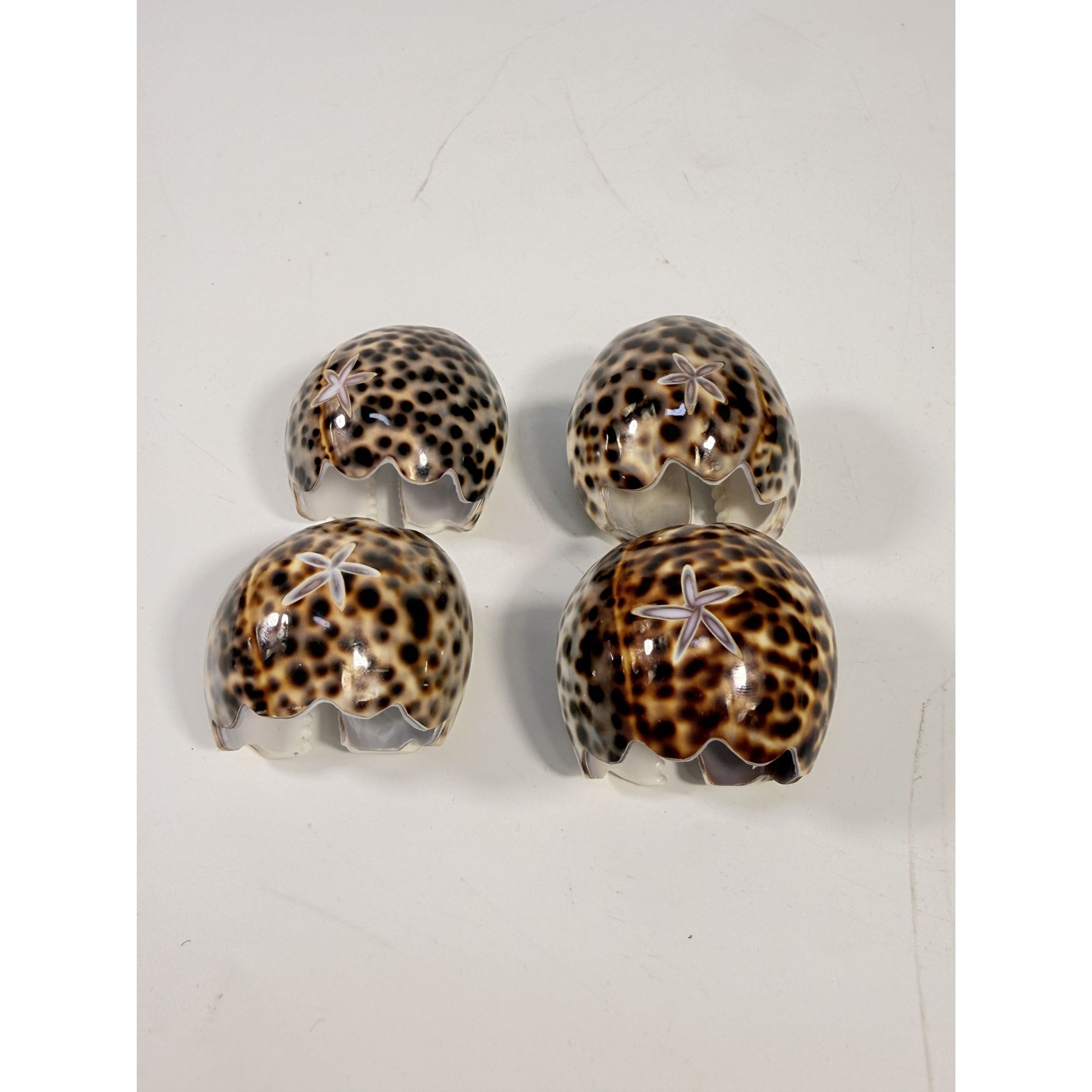 Napkin Rings Tiger Cowrie Shell Leopard Spots Set 4 Natural Seashell Decor Tablesetting Vintage Tableware Place Setting Coastal Grandma