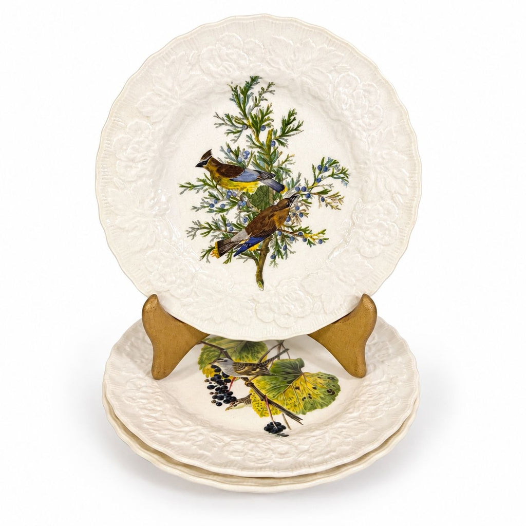 Luncheon Plates Audubon Birds Of America Alfred Meakin English  Set Of 3 Gallery Wall Plate Vintage Replacement China Cedar Sparrow Dove