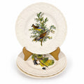 Luncheon Plates Audubon Birds Of America Alfred Meakin English  Set Of 3 Gallery Wall Plate Vintage Replacement China Cedar Sparrow Dove