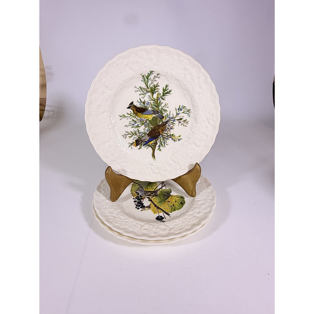 Luncheon Plates Audubon Birds Of America Alfred Meakin English  Set Of 3 Gallery Wall Plate Vintage Replacement China Cedar Sparrow Dove
