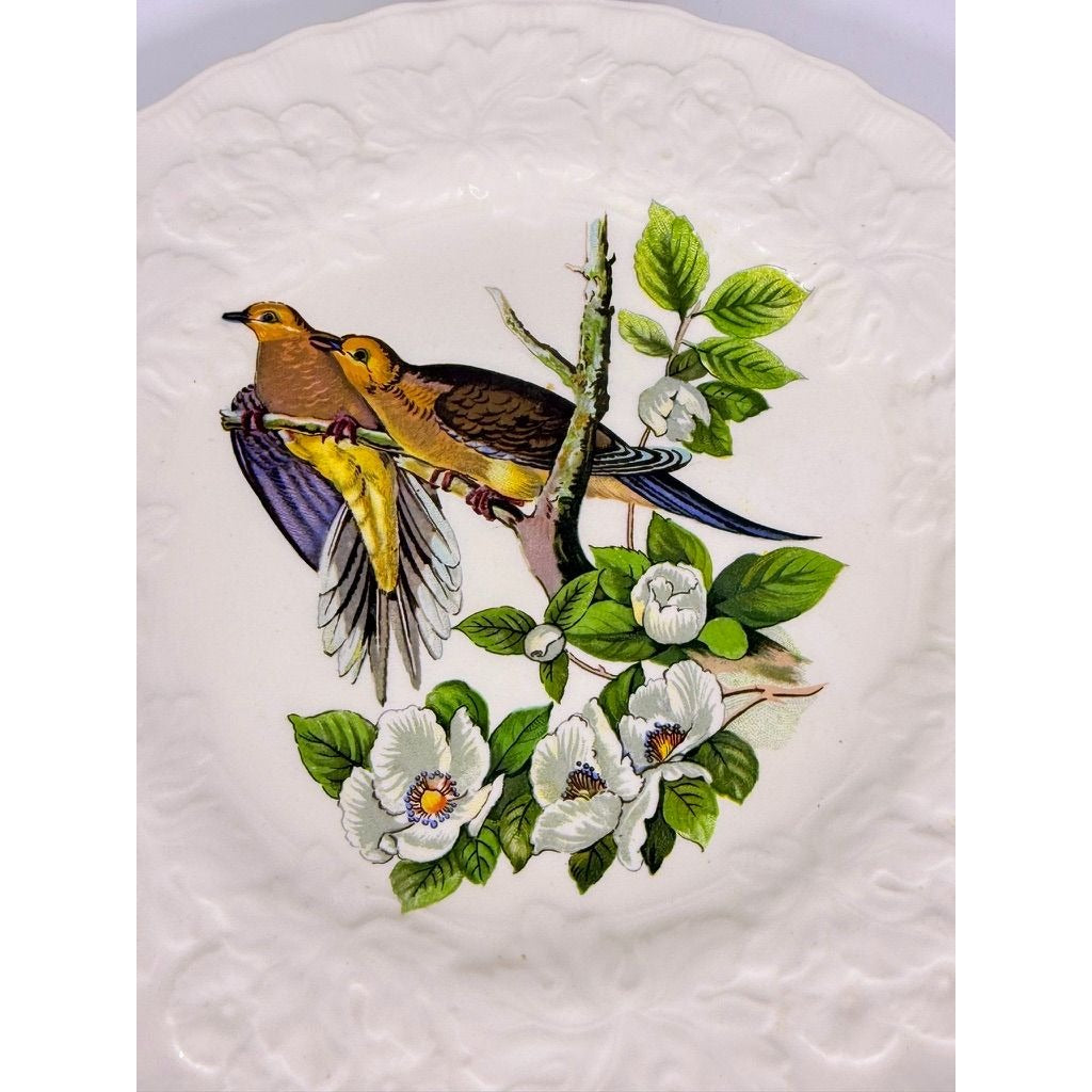 Luncheon Plates Audubon Birds Of America Alfred Meakin English  Set Of 3 Gallery Wall Plate Vintage Replacement China Cedar Sparrow Dove