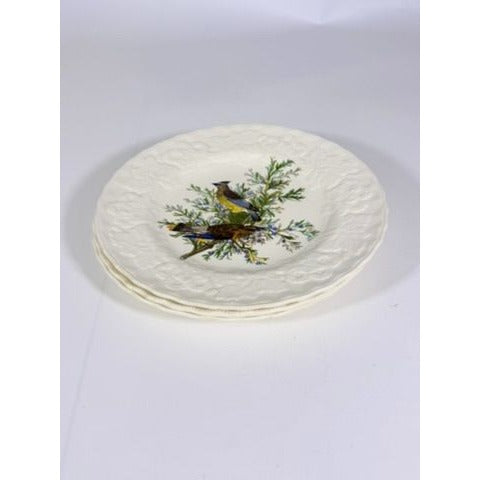Luncheon Plates Audubon Birds Of America Alfred Meakin English  Set Of 3 Gallery Wall Plate Vintage Replacement China Cedar Sparrow Dove