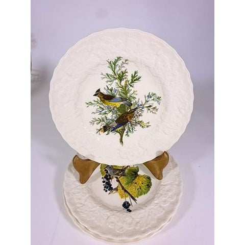 Luncheon Plates Audubon Birds Of America Alfred Meakin English  Set Of 3 Gallery Wall Plate Vintage Replacement China Cedar Sparrow Dove