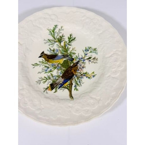 Luncheon Plates Audubon Birds Of America Alfred Meakin English  Set Of 3 Gallery Wall Plate Vintage Replacement China Cedar Sparrow Dove