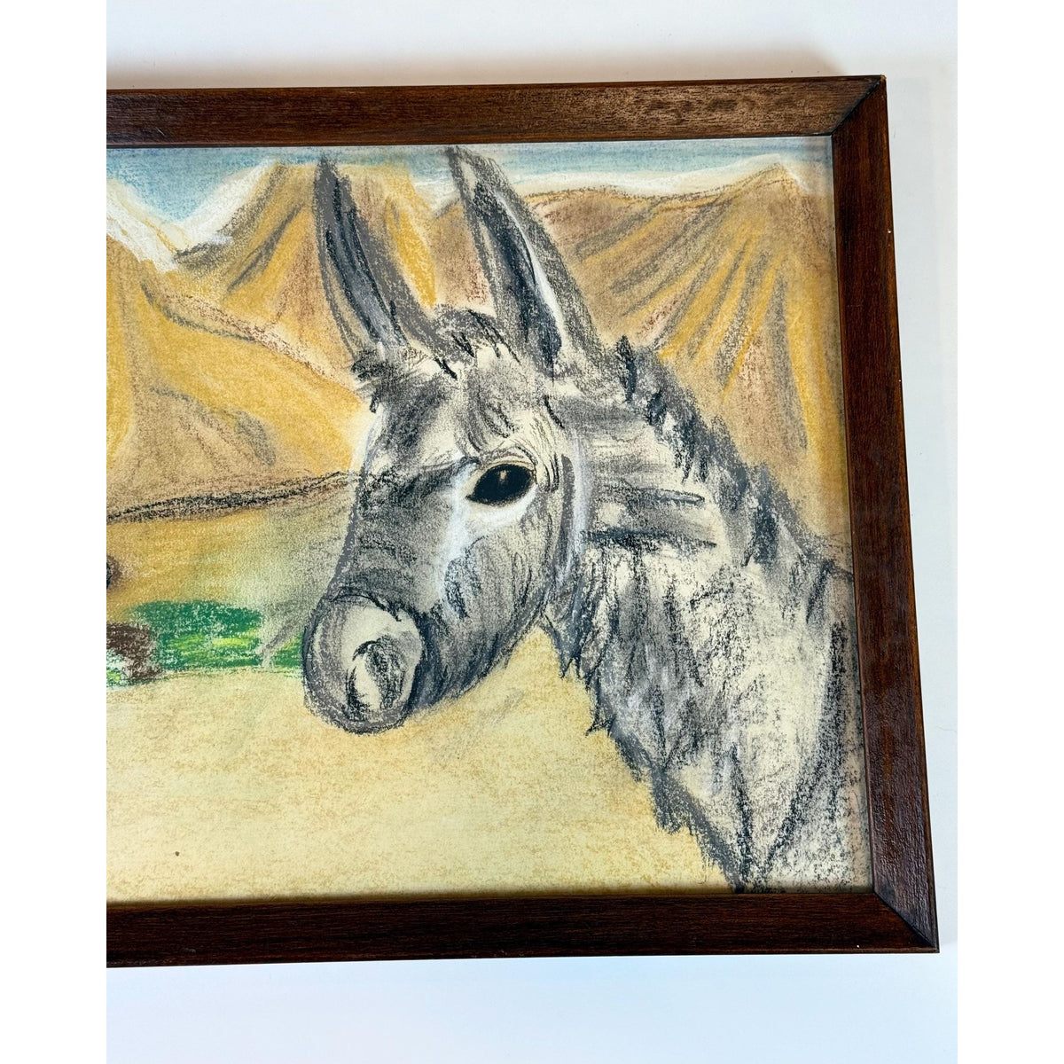 Donkey Artwork Sketch Framed Wall Decor Charcoal Artist Signed Mountains Burro Mule Hand painted  Mid Century Retro Kitschy Gallery Wall Art